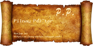 Pilnay Péter névjegykártya