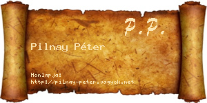 Pilnay Péter névjegykártya